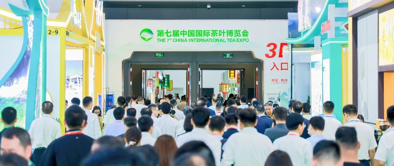 盛况直击！第七届中国国际茶叶博览会杭州启幕！